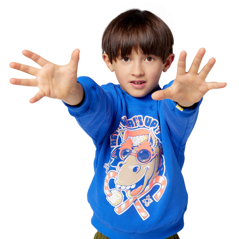Christmas Sweatshirt BILLIEBLUSH 
                    BOY