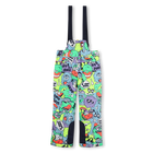 Ski pants BILLIEBLUSH 
                    BOY